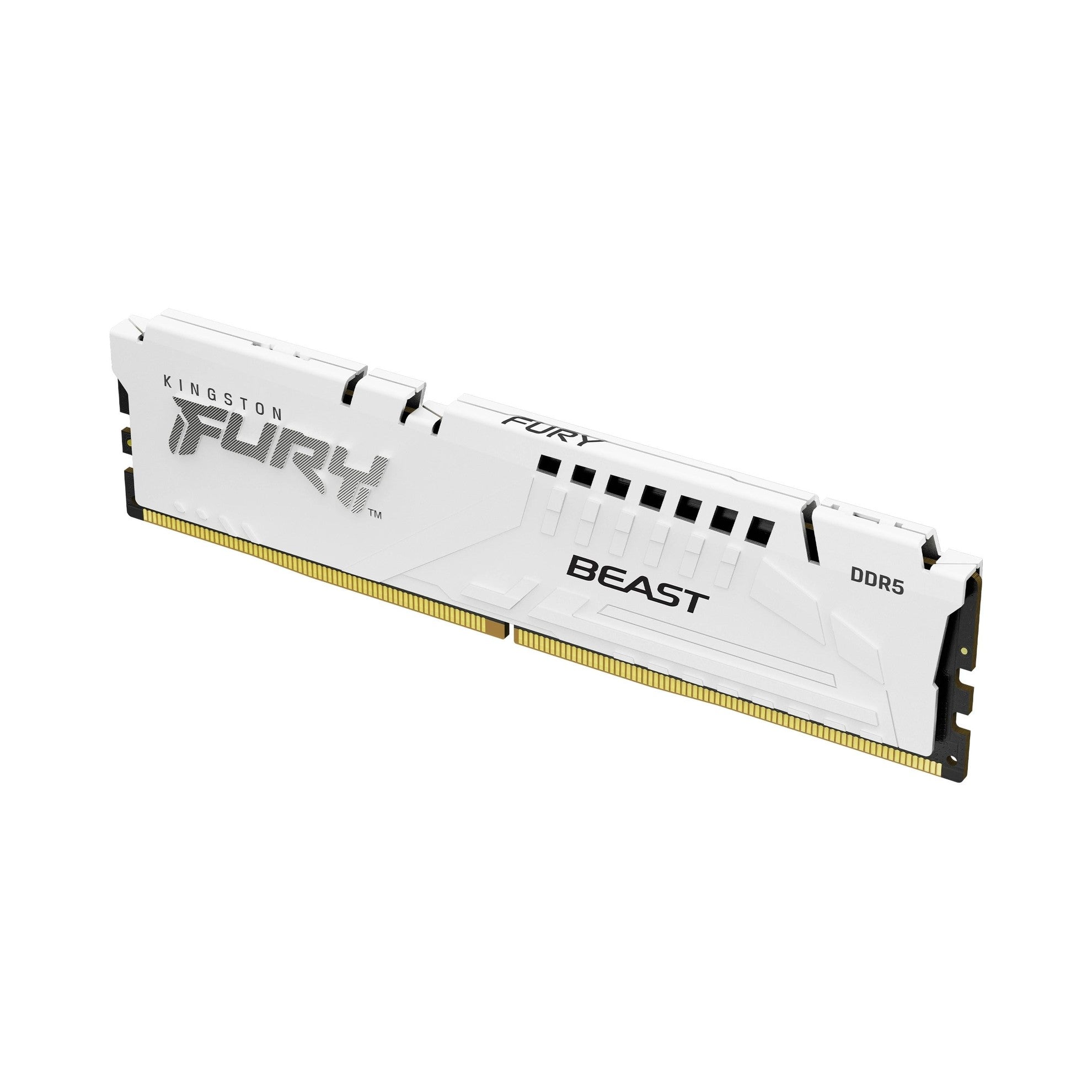 FURY Beast White DDR5 16GB 6000MT/s EXPO