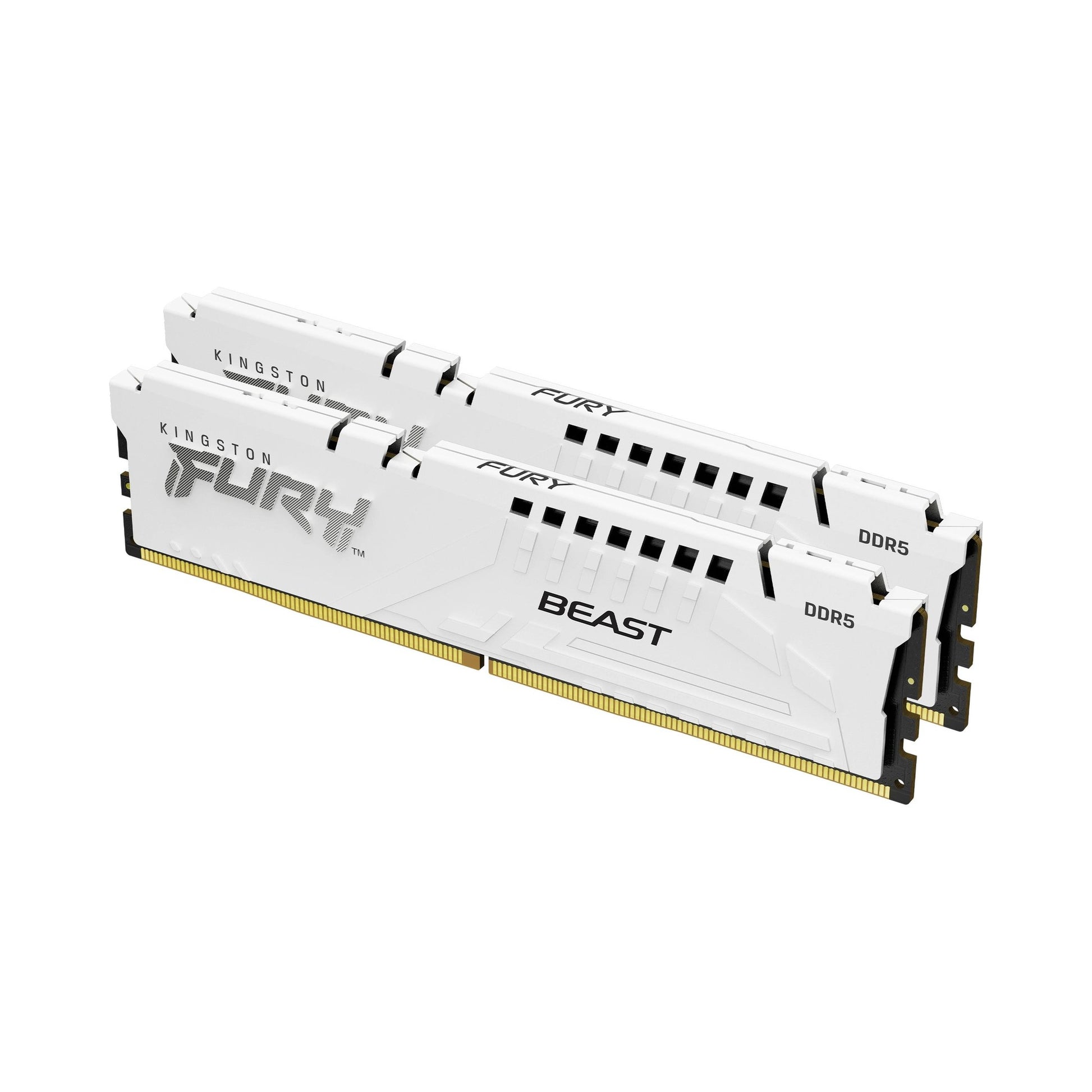 FURY Beast White DDR5 32GB 2-Kit 6000MT/s