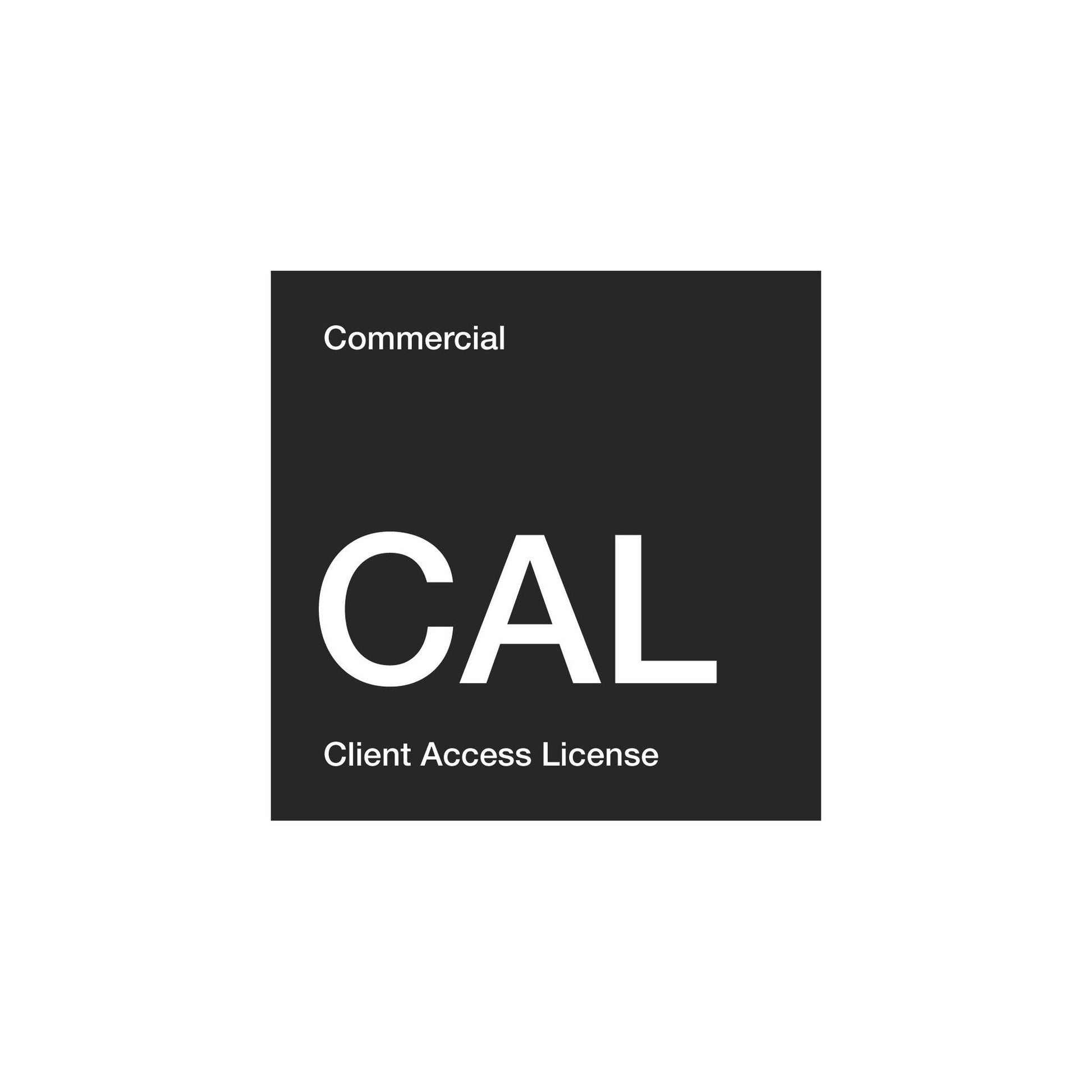 Microsoft Windows Server 2025 RDS User CAL