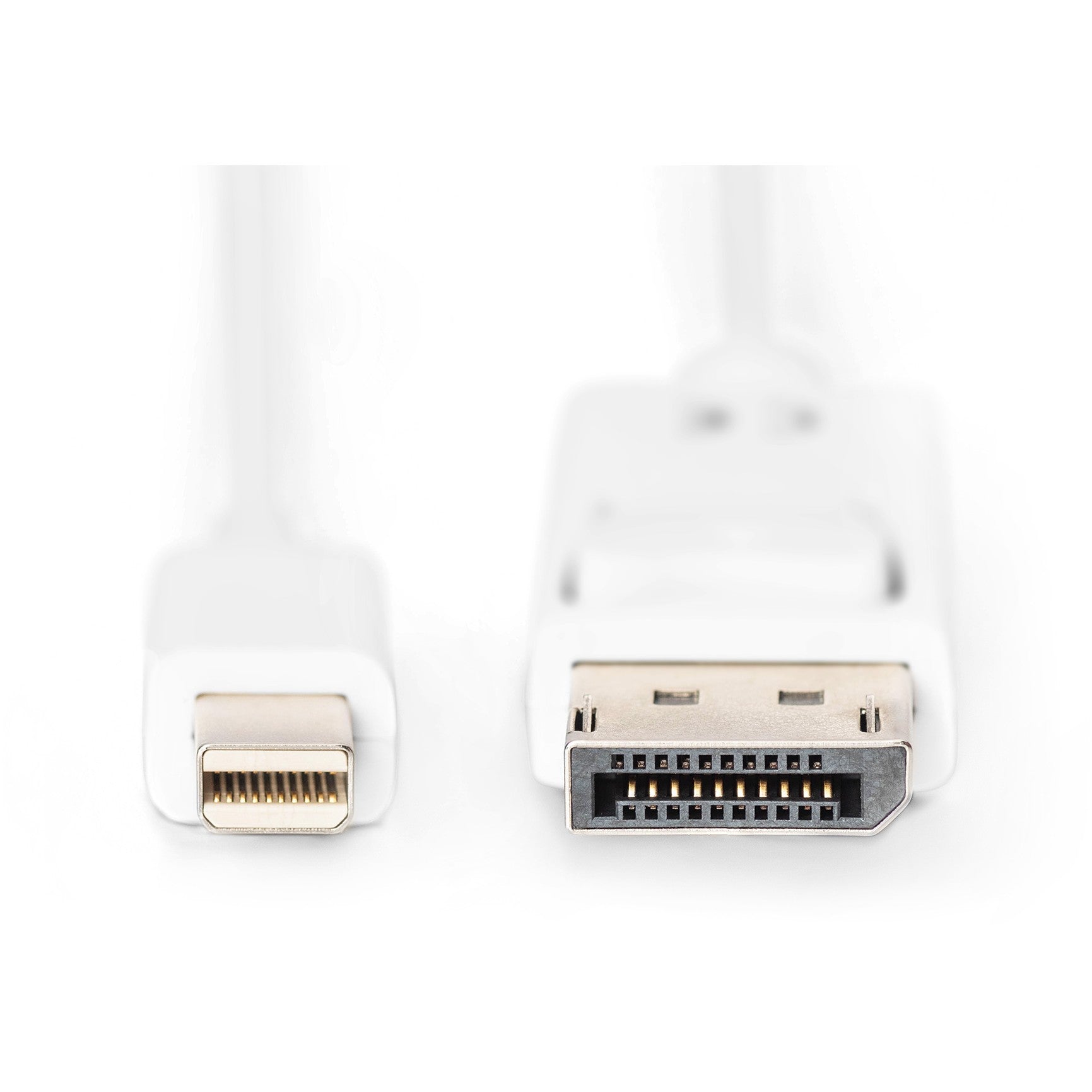 DIGITUS DisplayPortKabel miniDP -> DPort St/St 2m 1.1a weiß Polybeutel