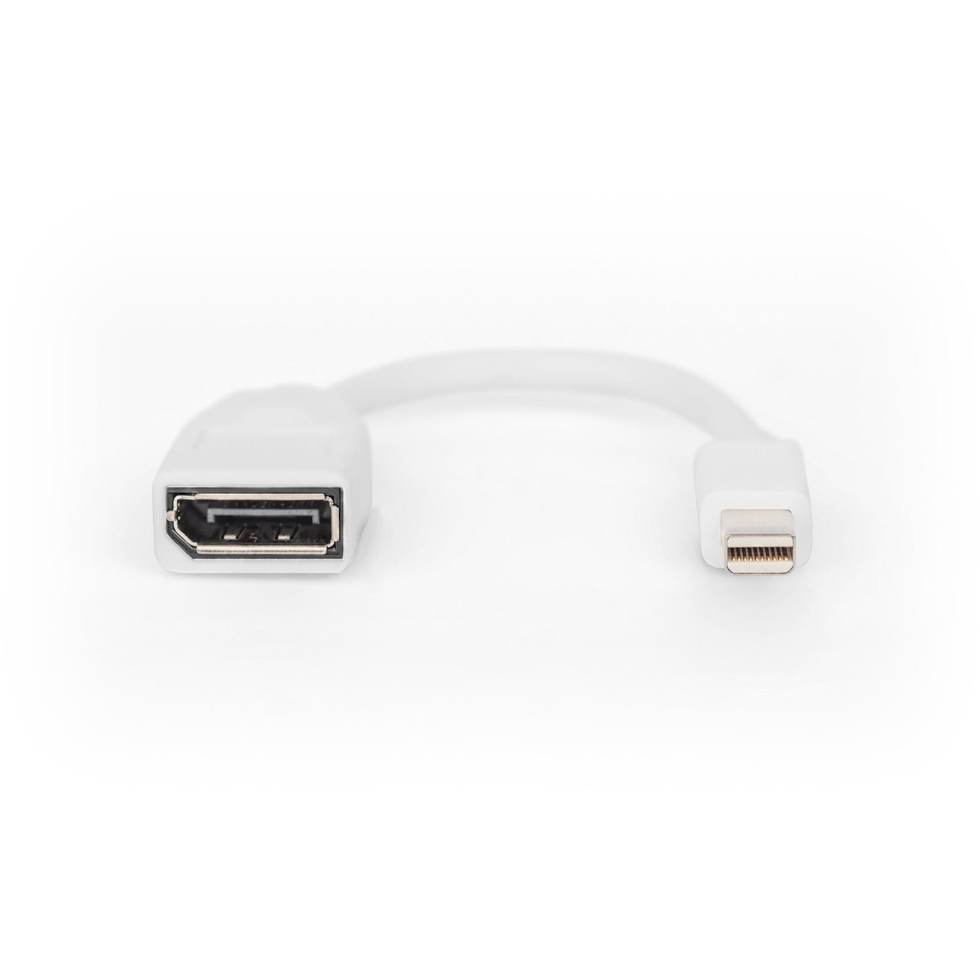 DIGITUS DisplayPort Kabel. mini DP - DP St./Bu. 0.15m weiß