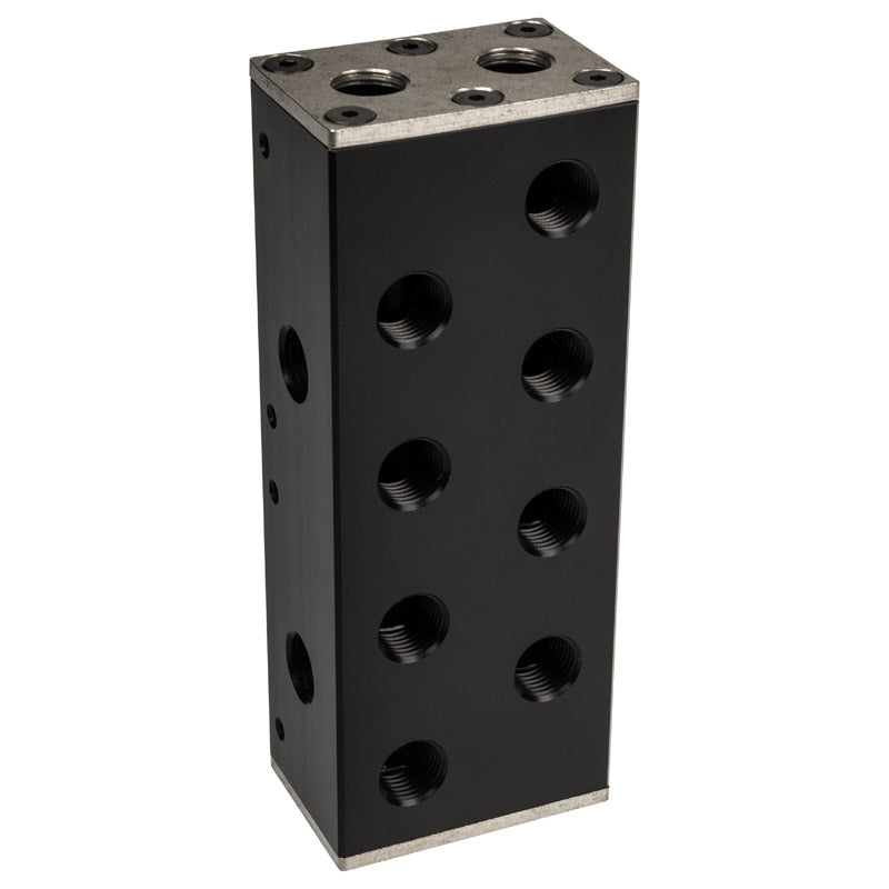 EK Water Blocks EK-Pro Manifold 2CPU 2GPU Verteiler - Acetal, schwarz