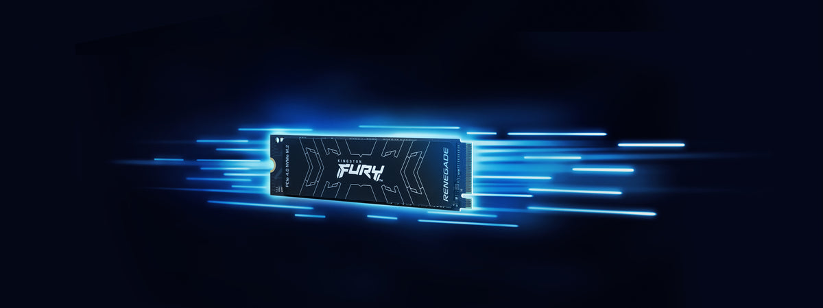 Kingston Technology 500G FURY RENEGADE M.2 2280 NVMe SSD