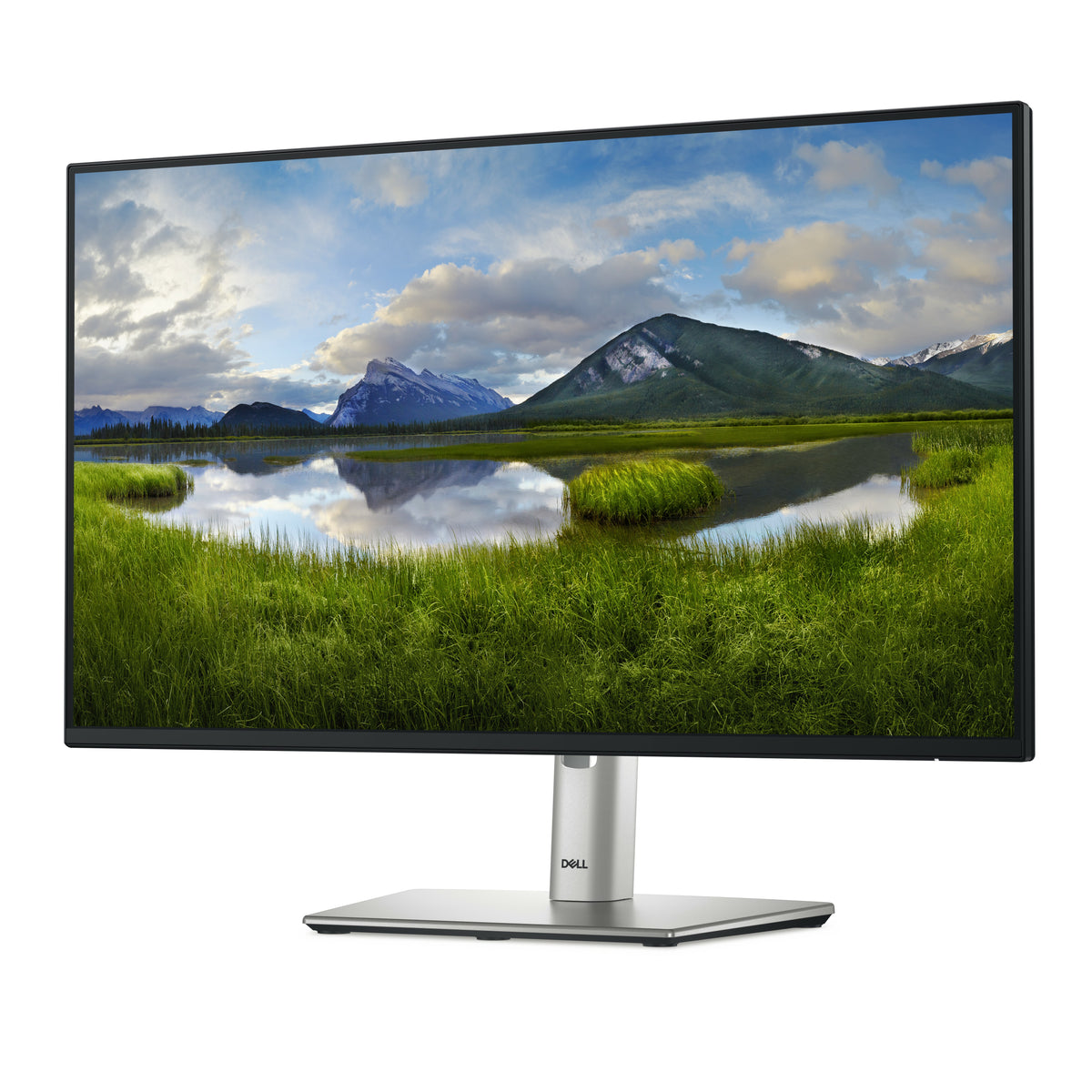 DELL Pro Plus P2425HE Computerbildschirm 60,5 cm (23.8") 1920 x 1080 Pixel Full HD LCD Schwarz