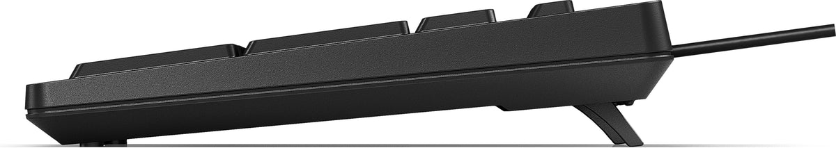 HP 125 Kabelgebundene Tastatur