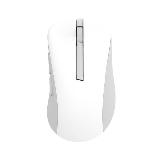 ASUS Wireless Mouse MD102 Maus Universal rechts RF Wireless + Bluetooth Optisch 1600 DPI