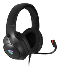 GENESIS NEON 213