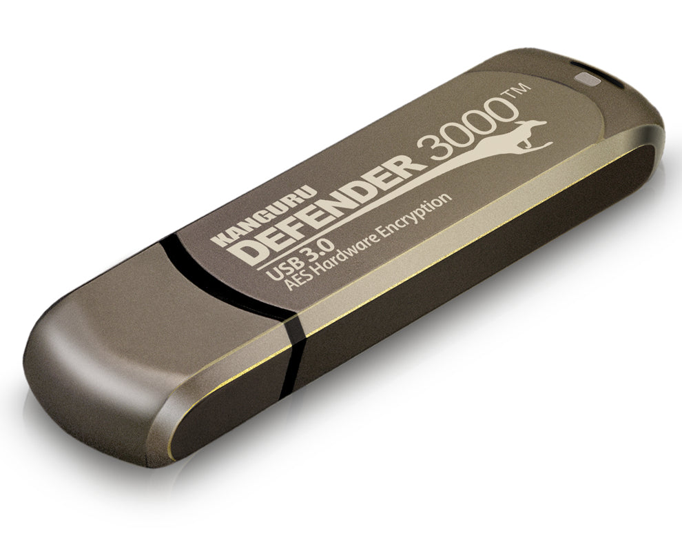 iStorage Kanguru Defender 3000 Clé USB 256 Go USB Type-C 3.2 Gen 1 (3.1 Gen 1) Grise