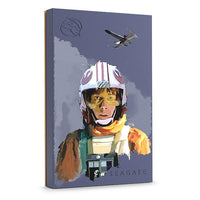 Seagate Game Drive Luke Skywalker™ Special Edition FireCuda Externe Festplatte 2 TB 1.8" 3.2 Gen 1 (3.1 Gen 1) Schwarz