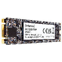 M.2 256GB Intenso Top Performance