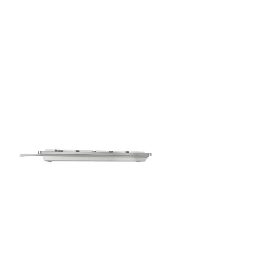 CHERRY KC 6000C FOR MAC Tastatur Universal USB QWERTZ Deutsch Silber