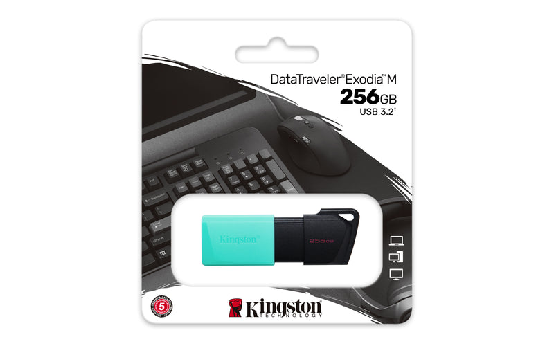 Kingston Technology DataTraveler 256GB USB3.2 Gen1 Exodia M (Schwarz + Türkis)