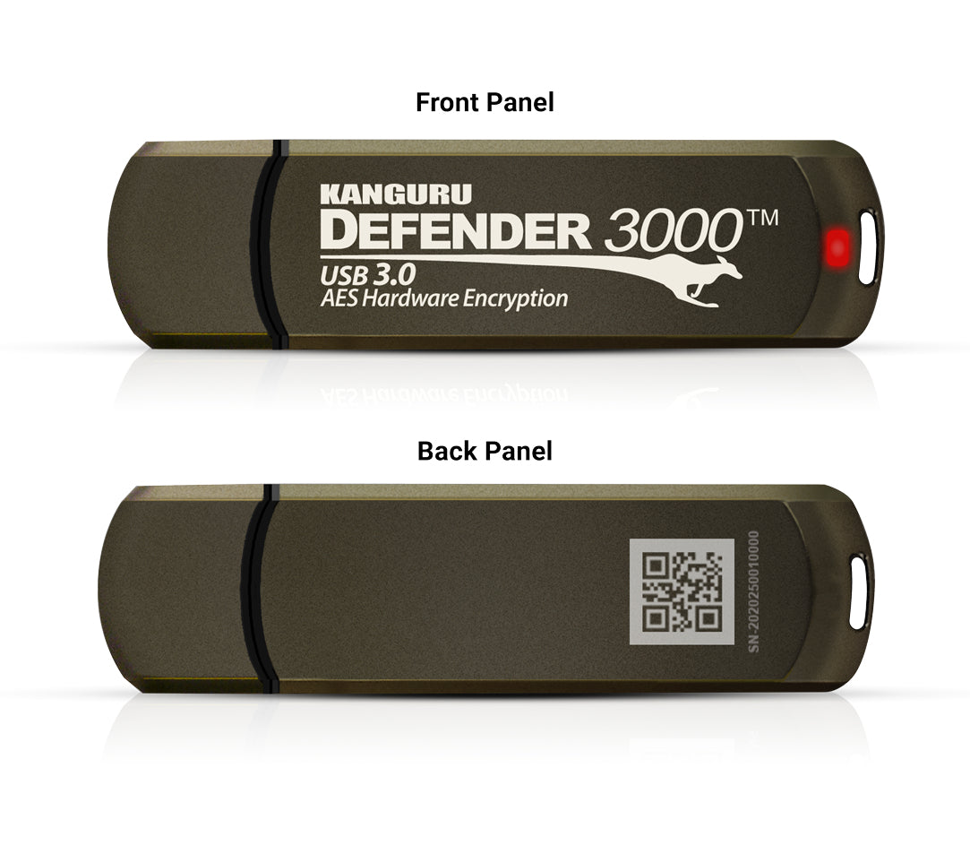 iStorage Kanguru Defender 3000 Clé USB 256 Go USB Type-C 3.2 Gen 1 (3.1 Gen 1) Grise