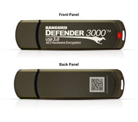 iStorage Kanguru Defender 3000 USB-Stick 256 GB USB Typ-C 3.2 Gen 1 (3.1 Gen 1) Grau