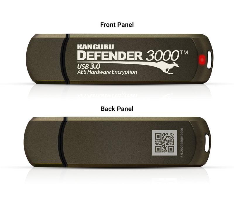 iStorage Kanguru Defender 3000 USB-Stick 256 GB USB Typ-C 3.2 Gen 1 (3.1 Gen 1) Grau