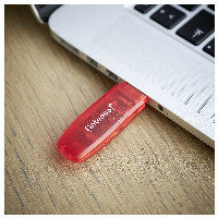 Intenso Rainbow Line USB-Stick 128 GB USB Typ-A 2.0 Rot, Transparent