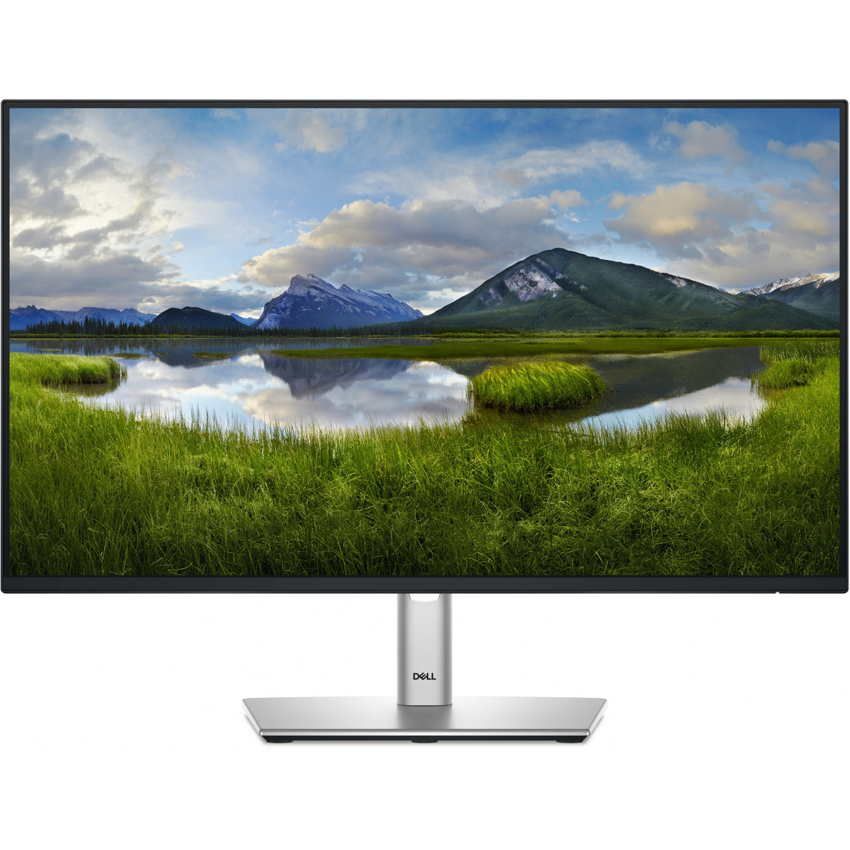 60.47cm/23.8" (1920x1080) Dell P2425HE 16:9 FHD IPS 5ms 100Hz HDMI DP USB-C RJ45 Black/Silver