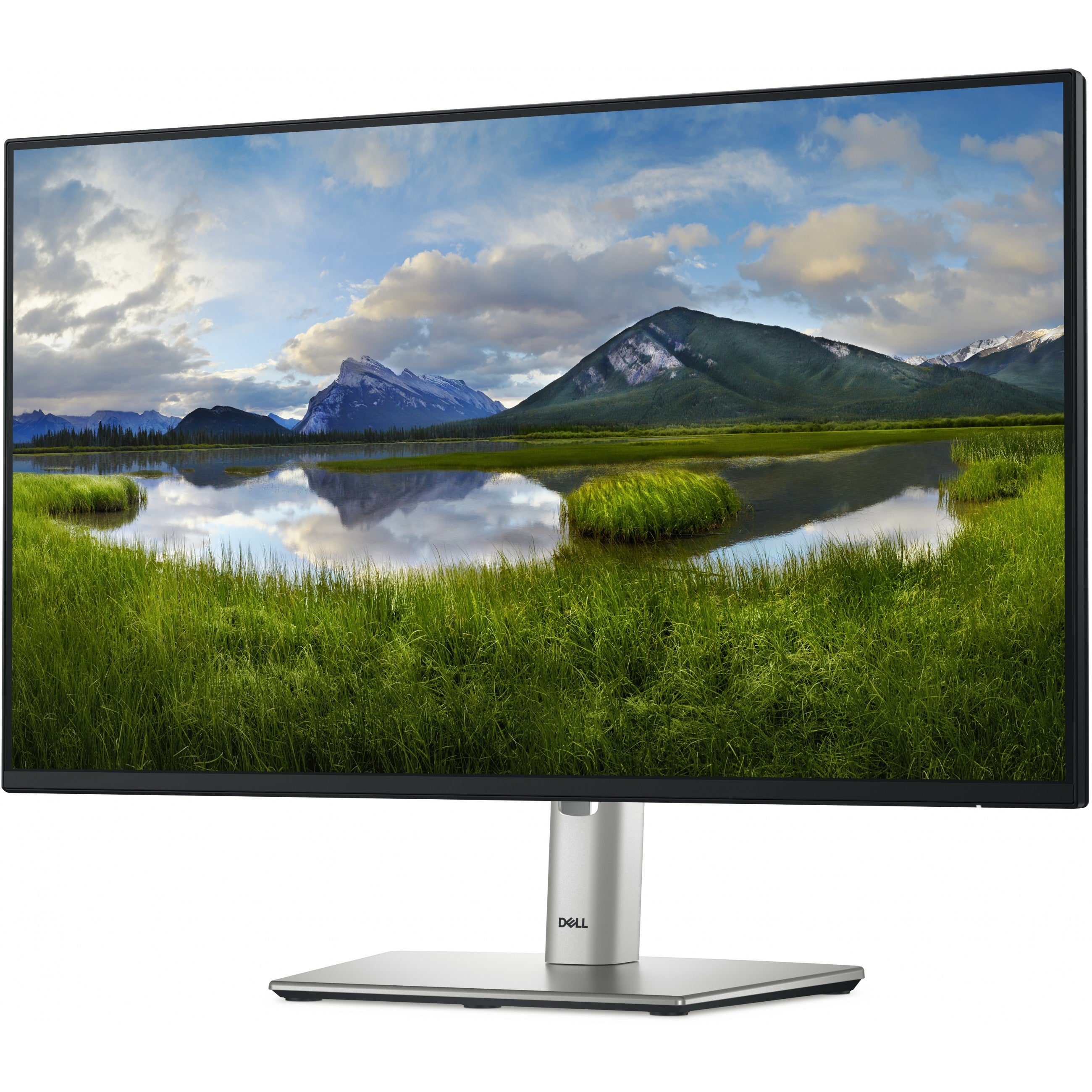 60.47cm/23.8" (1920x1080) Dell P2425HE 16:9 FHD IPS 5ms 100Hz HDMI DP USB-C RJ45 Black/Silver