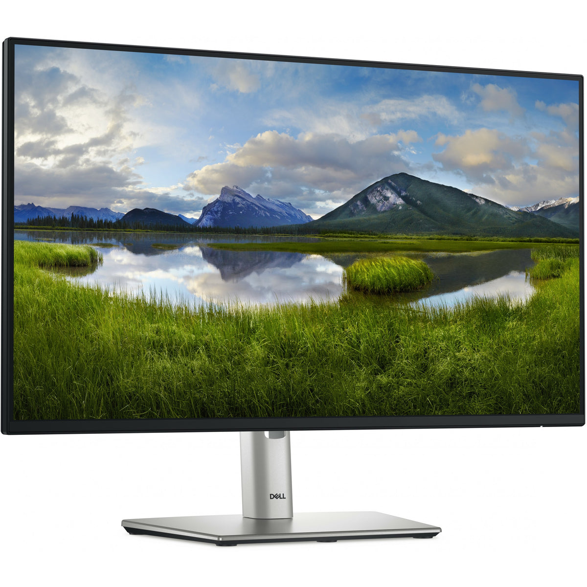60.47cm/23.8" (1920x1080) Dell P2425HE 16:9 FHD IPS 5ms 100Hz HDMI DP USB-C RJ45 Black/Silver