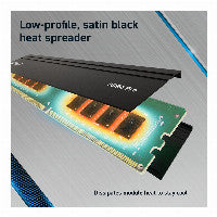 Crucial Pro Black / Green DDR4-3200 CL22 64GB (2x32GB)