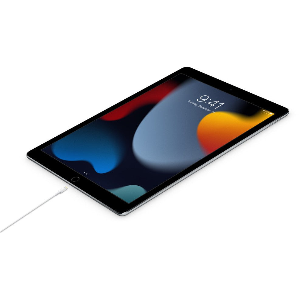 Apple USB-C auf Lightning Kabel 1M (MUQ93ZM/A) Retail