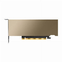 24 GB PNY NVIDIA L4 GPU Rechenprozessor (passiv) GDDR6
