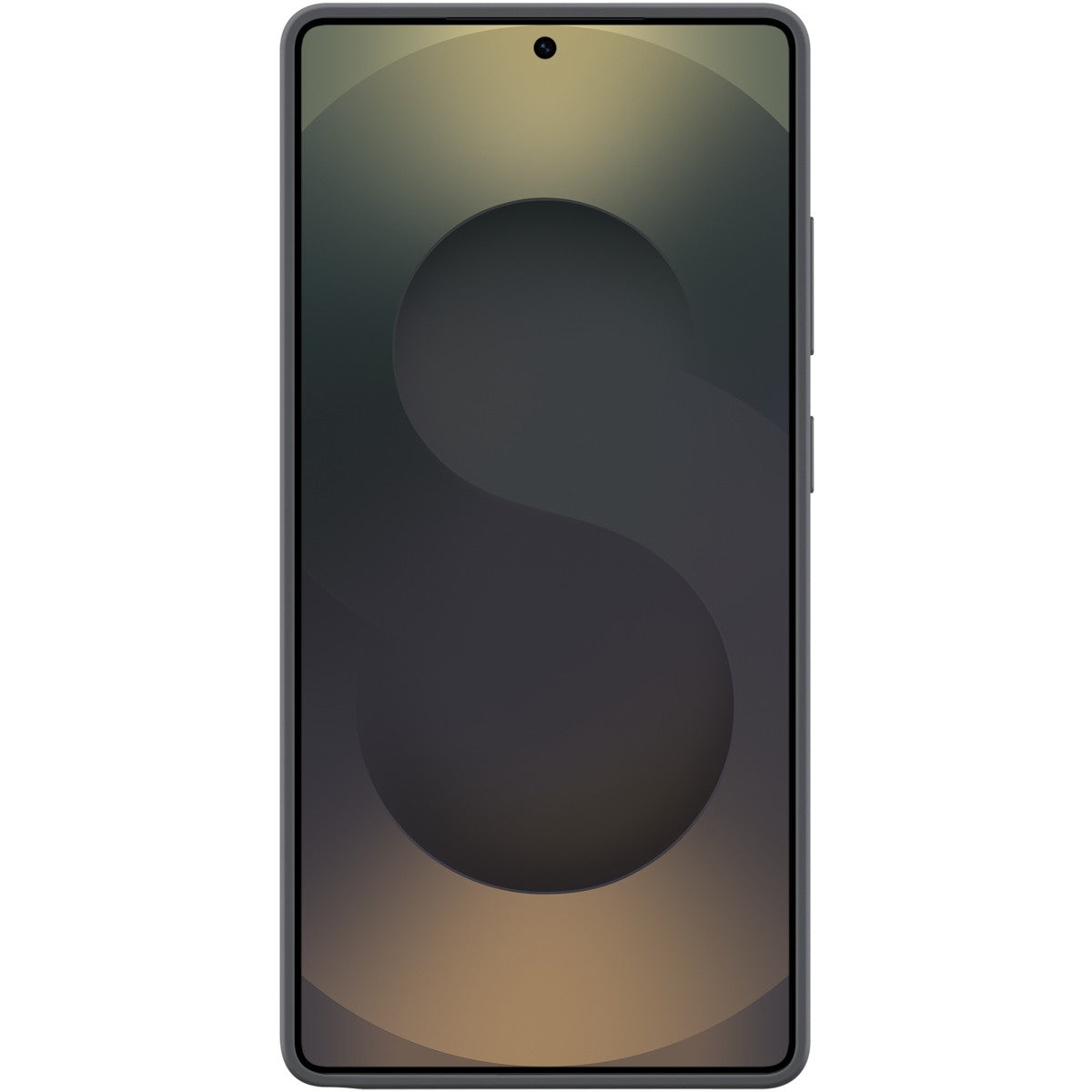 Samsung Silicone Case S25 Ultra black
