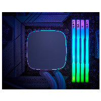 Klevv Cras V RGB Speichermodul 32 GB 2 x 16 GB DDR5 6000 MT/s 288-pin DIMM
