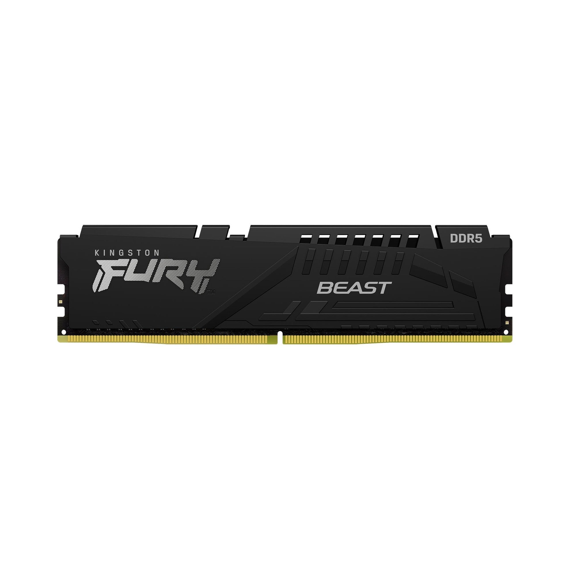 FURY Beast DDR5 32GB 6000MT/s EXPO
