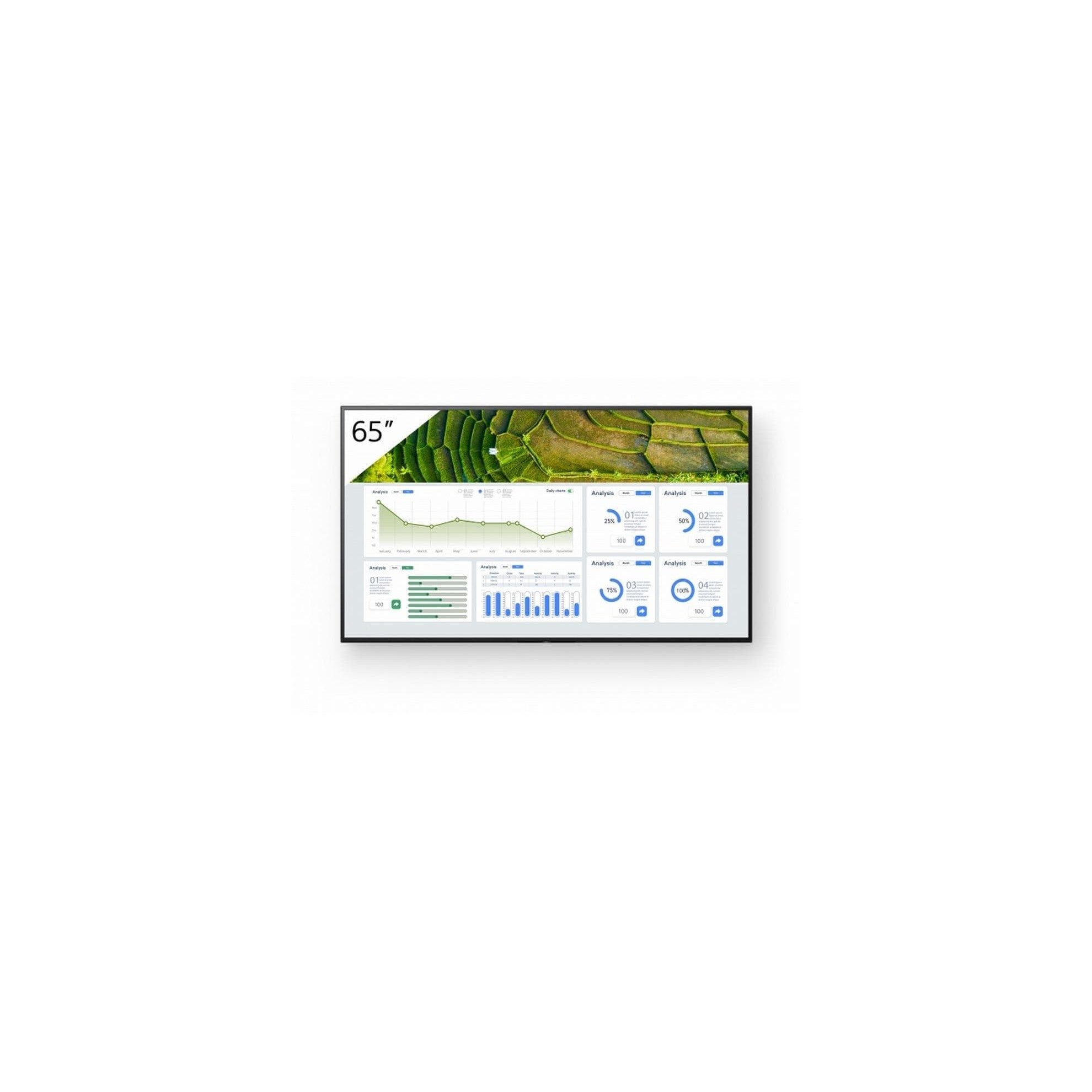 Sony FW-65BZ30L Public Display