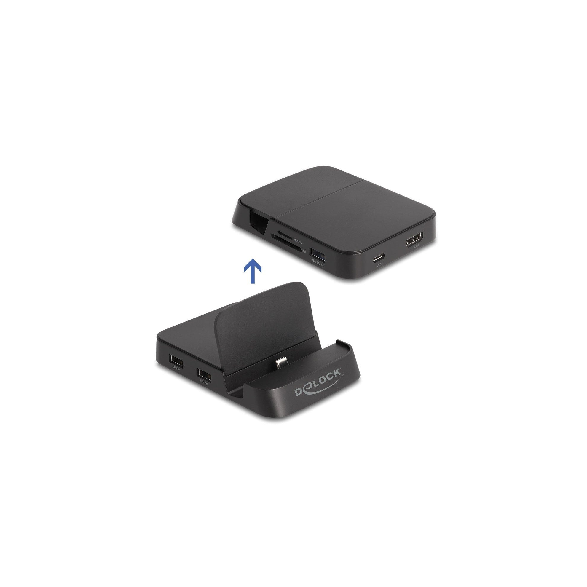 Delock Dockingstation 4K mit Halterung