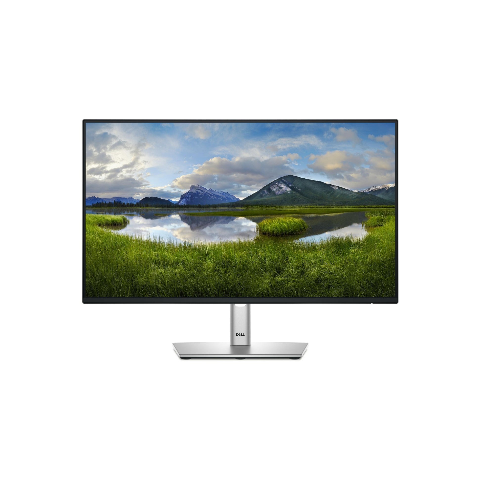 Dell 24 Monitor