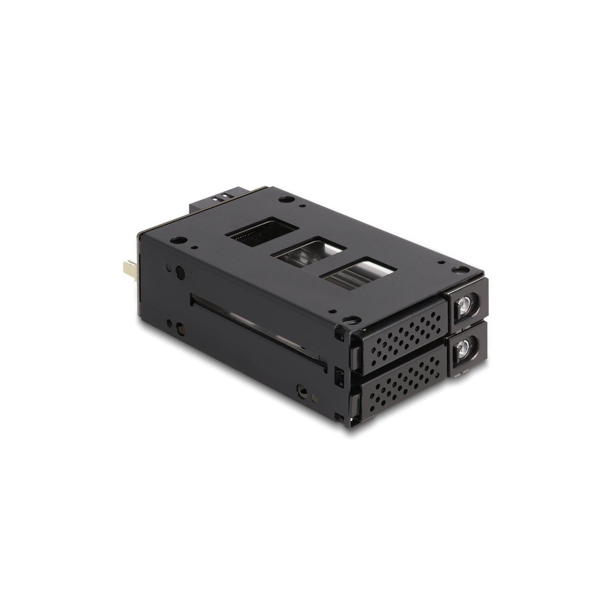 Delock Slim Bay Wechselrahmen für 2x2.5