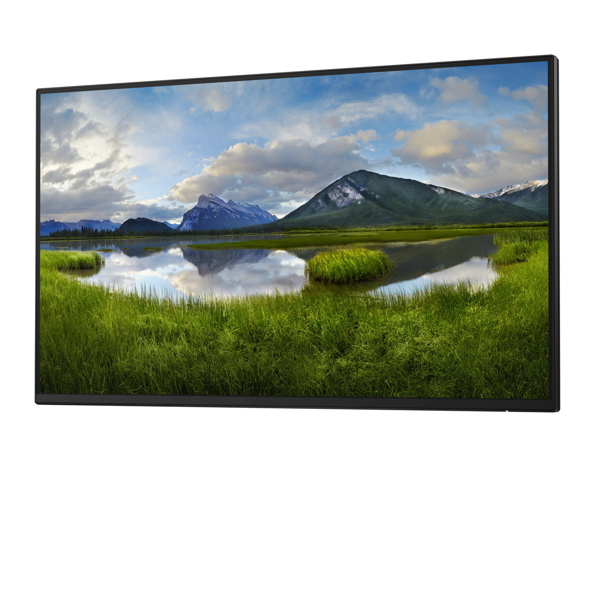 DELL Pro Plus P2425HE_WOST Computerbildschirm 61 cm (24") 1920 x 1080 Pixel Full HD LCD Schwarz