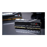 32GB G.Skill PC 5200 CL40 (1x32GB) 32-GX1-TZ5NR