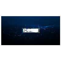 M.2 240GB Kingston DC2000B (PCIe 4.0 x4, NVMe, M.2 2280, without heatsink)