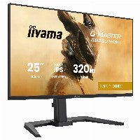 iiyama G-MASTER Gold Phoenix™ GB2591HSU-B1 Gaming-Monitor 68,6 cm (24,5") mattschwarz – Ansicht 4