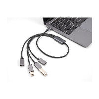 DeLOCK 4 Port USB 2.0 Kabel-Hub mit USB Type-C™ Anschluss 60 cm – Ansicht 2