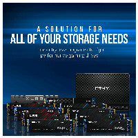 M.2 500GB PNY CS2230 M280CS2230-500-RB 0,307 DWPD 2280 PCIe 3.0 x4 (NVMe) SSD