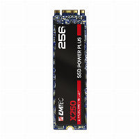 M.2 256GB EMTEC SSD Power Plus X250