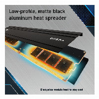 Crucial 32GB PC 6000 CL36 KIT (2x16GB) Pro Overclocking
