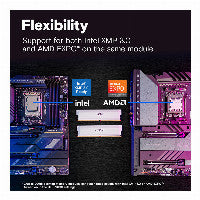 Crucial Pro 6000 Kit 64 Go 2x32 Go UDIMM CL40 avec overclocking