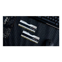 G.Skill Trident Z5 RGB Metallic Silver DDR5-5600 CL36 32GB (2x16GB)