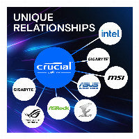 16 GB Crucial Pro Modul - DIMM 288-PIN Low Profile - 6000 MHz / PC5-48000 - CL48 - 1.1 V - ungepuffert - on-die ECC - mattschwarz