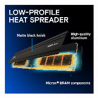 16 GB Crucial Pro Modul - DIMM 288-PIN Low Profile - 6000 MHz / PC5-48000 - CL48 - 1.1 V - ungepuffert - on-die ECC - mattschwarz