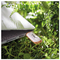 Intenso Green Line USB-Stick 128 GB USB Typ-A 3.2 Gen 1 (3.1 Gen 1) Beige, Braun