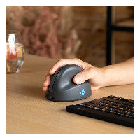 R-Go Tools Vertikale Maus R-Go HE Basic, Ergonomische maus, medium (Handlänge 165-185mm), Rechtshänder