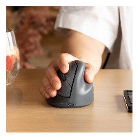 R-Go Tools Vertikale Maus R-Go HE Basic, Ergonomische maus, medium (Handlänge 165-185mm), Rechtshänder