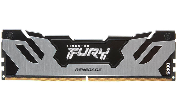 Kingston FURY Renegade Silver / Black DDR5-6400 CL32 48 Go (1x48 Go)