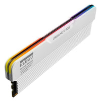 Klevv Urbane V RGB Module de mémoire 32 Go 2 x 16 Go DDR5 6000 MT/s DIMM 288 broches